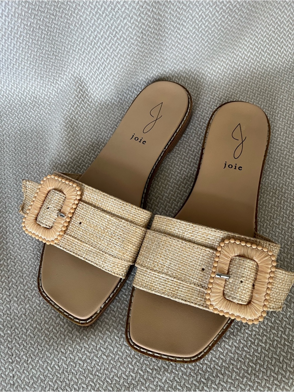 Joie Women's Woven Raffia Slide Sandals with Large Buckle Size 9
